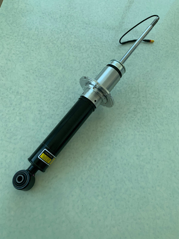 Ferrari  F12 Berlinetta Shock Absorber (Rear)